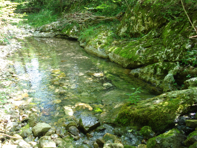 20120721_105619.jpg